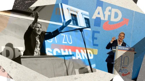 Wie lässt sich der Aufstieg der AfD stoppen, Frau Richter?: Mit mehr Ehrlichkeit und mehr Zumutungen