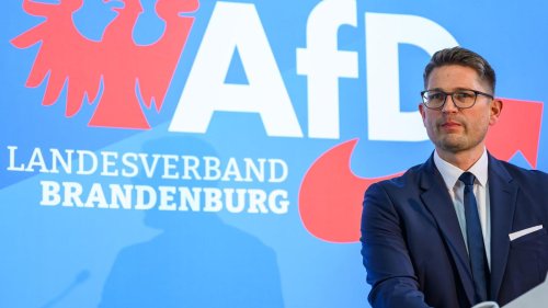 Verfassungsschutz: AfD Brandenburg klagt gegen Einstufung als „rechtsextrem“