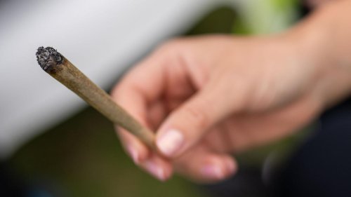 Legalisierung mit deutlicher Wirkung auf Kriminalstatistik: Cannabis-Straftaten in Berlin haben sich mehr als halbiert