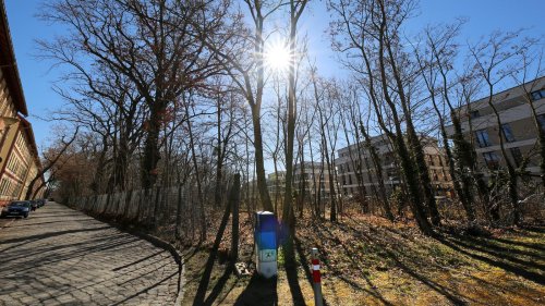 Für neue Potsdamer Grünfläche: Kampfmittelsondierung an der Kolonie Daheim