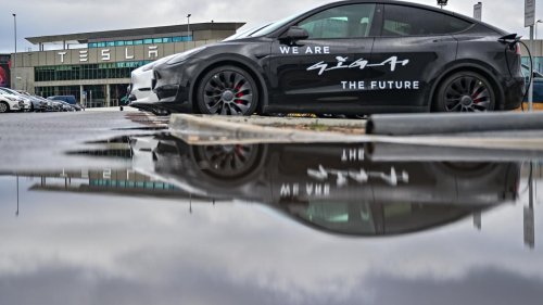 „Die Lobbyisten haben gewonnen“: Kein Abwasserstopp für Brandenburgs Tesla-Fabrik – Wasserverbands-Chef tritt zurück