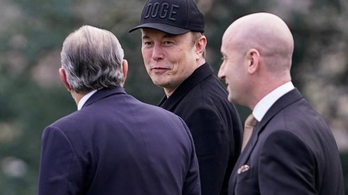 Nach Entlassung des gesamten Vorstandes : Musk-Team übernimmt Kontrolle über US-Friedensinstitut