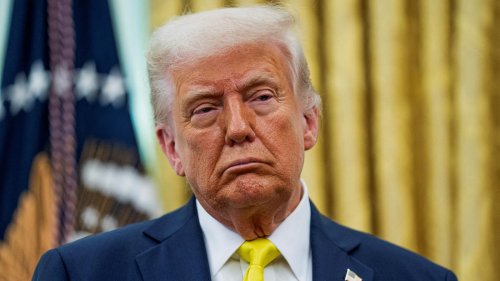 „Irrationale Vorurteile“: Gericht nennt Trumps Pass-Erlass für Transgender verfassungswidrig