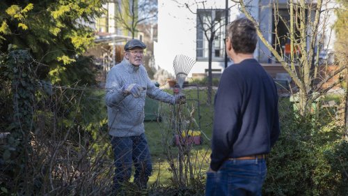 Ständig Streit am Berliner Gartenzaun: „Ich bin Schiedsmann, aber kein Richter“