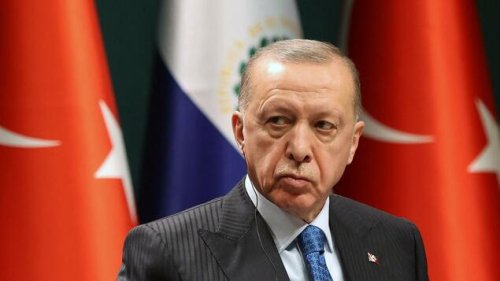 Journalistin wegen angeblicher Beleidigung Erdogans festgenommen