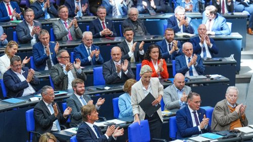Ausschüsse und Fraktionssaal: Was die AfD in dieser Woche voraussichtlich nicht bekommt und warum