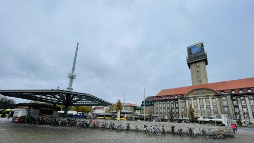 Frauen, BVG, Bürgeramt und Hunde: Was bewegt Spandau im Frühling 2025?
