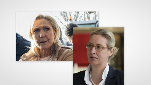 AfD-Chefin in Paris: Le Pen fordert schriftliches Bekennntnis von Alice Weidel