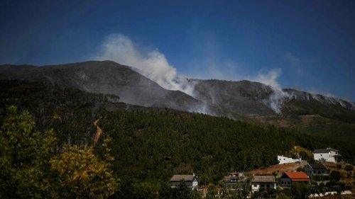Waldbrand in Portugal flammt wieder auf