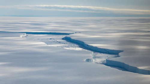Niedrigster Wert seit 45 Jahren: Antarktisches Meereis erreicht möglicherweise historischen Tiefpunkt