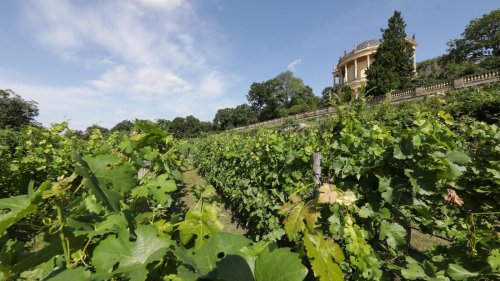 Wochenendtipps für Potsdam: Stille im Wald, Jodeln auf der Insel