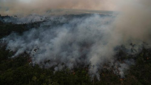 Schlimmste Juni-Brände in Brasiliens Amazonas-Gebieten seit 15 Jahren