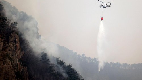 Feuer: Zahl der Toten bei Waldbränden in Südkorea steigt auf 26