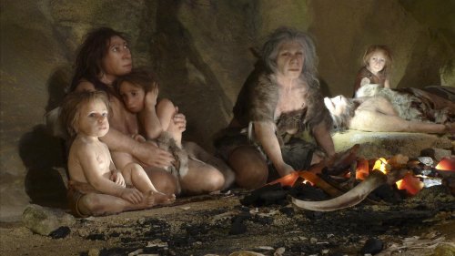 Vegan in der Höhle: Die raffinierte pflanzliche Küche der Neandertaler