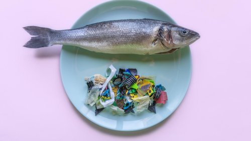 Pestizide, Plastik und Antibiotikarückstände: Lassen sich Schadstoffe vom Essen einfach abwaschen?