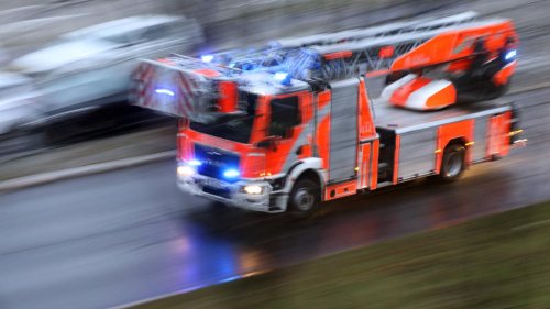 Vorsätzliche Brandstiftung vermutet: Fünf Waldbrände rund um die A115 in Brandenburg