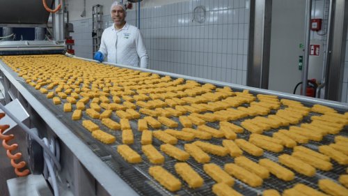 Seelachs „en bloc“: Wie der Fisch ins Stäbchen kommt