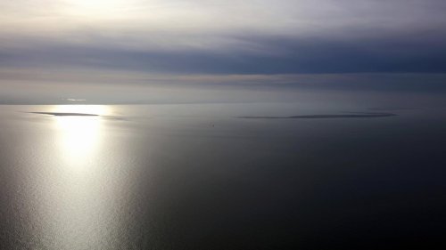 Es ist nicht das erste Mal: Toter Wal auf Nordseeinsel gestrandet