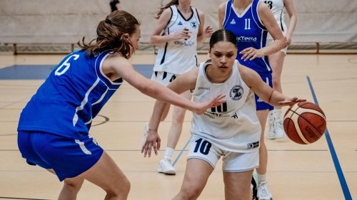 254 Mannschaften im Berliner Südwesten: Wird es das größte Basketball-Turnier Deutschlands?