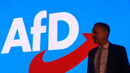 „Radikalisierung immer hemmungsloser“: Menschenrechtsinstitut hält AfD-Verbot für möglich – andere Parteien skeptisch