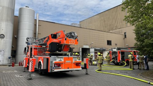Feuerwehr löscht Flammen: Brand bei Tiefkühlpizza-Hersteller in Berlin