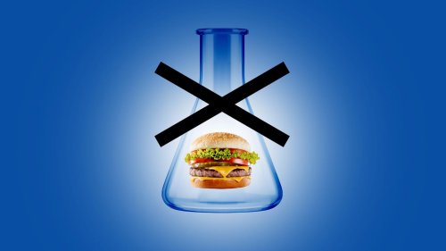 Zensur in den USA: Warum ein berühmter Ernährungsforscher nicht mehr forschen will