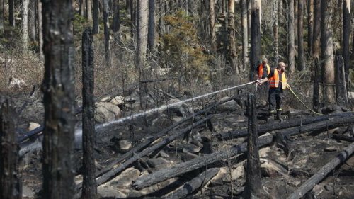 Waldbrand auf ehemaligem Militärgelände