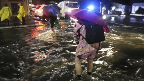 Notstand in Auckland ausgerufen: Zwei Tote nach Überschwemmungen und Starkregen in Neuseeland