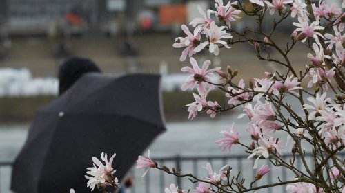 März endet mit Aprilwetter: Deutscher Wetterdienst erwartet an Ostern milde Temperaturen