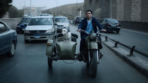 Arabisches Filmfestival in Berlin: Ein Hund namens Rambo
