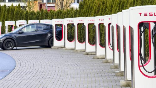 Berliner Senatorin über Tesla: Brandenburgs Wirtschaftsminister über „Nazi-Auto“-Aussage empört