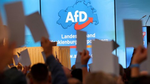 Vertrauen in Bundesregierung sinkt: AfD legt in Umfrage bundesweit auf 22 Prozent zu