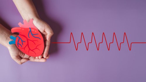 Hirn- oder Herztod?: Wann dürfen Organe transplantiert werden?