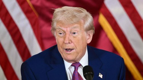 Sekundenschlaf beim Staatsempfang?: Trumps Augen werden schwer, immer schwerer...