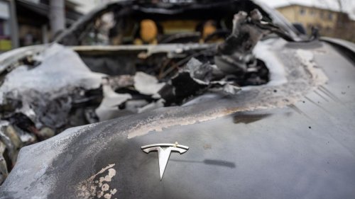 Musk-Firma: Minus 45 Prozent: Teslas Talfahrt auf EU-Automarkt hält an
