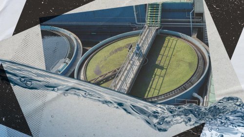 Immer weniger Wasser für immer mehr Bedarf: Wird die Ostsee Brandenburg und Berlin bald mit Wasser versorgen, Herr Vogel?