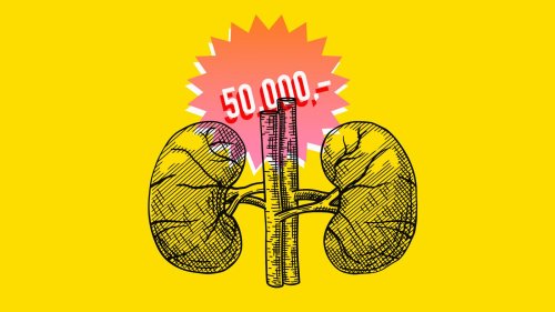 Würden Sie eine Niere verkaufen?: Das Organspenderegister kommt, die Not bleibt vorerst groß