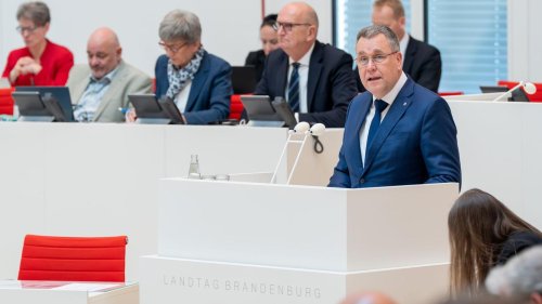 Die Brandmauer schwankt: Nur weil die AfD zu wenig Abgeordnete mobilisieren kann, scheitert einer ihrer Anträge