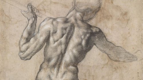 Die Schönheit des Körpers: Michelangelo in Wien