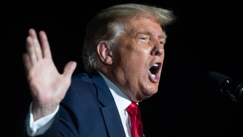 „Donald Trump ist ein Bullshitter“: Wie der US-Präsident mit seinen Lügen erfolgreich ist