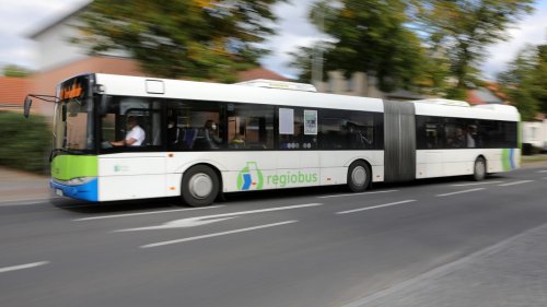 Reh flüchtet sich in Teltow in Linienbus: Tier war vor Hund aus dem Wald geflüchtet
