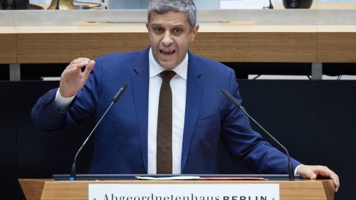 Parteienverbot: Saleh pocht auf Verbotsverfahren für AfD
