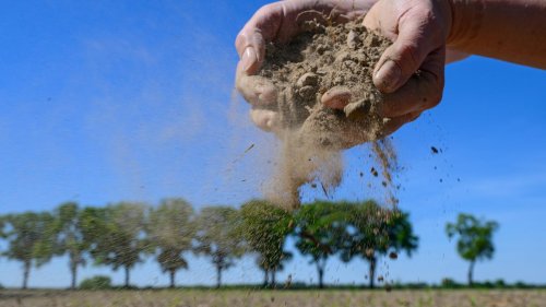 Kommt jetzt endlich der große Regen?: Das Frühjahr könnte das trockenste seit 144 Jahren werden