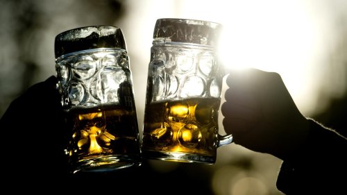 Klimakrise killt beliebte Hopfensorten: Wie lange schmeckt Bier noch nach Bier, Herr Lehmair?