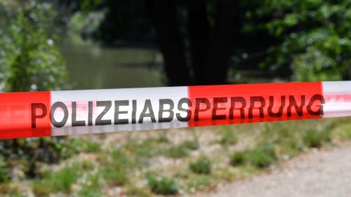 Gewaltverbrechen: Junge Frau tot in Wald gefunden - 16-Jähriger unter Verdacht