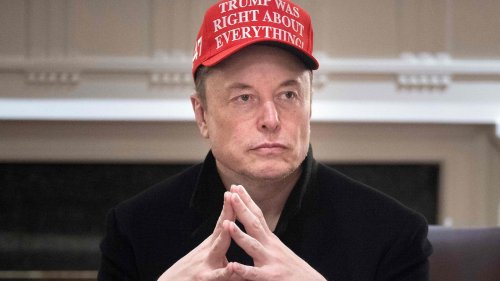 „Wir danken dir sehr für diese Arbeit“: Trump lässt seinen „Freund“ Elon Musk bei Kabinettsitzung feiern