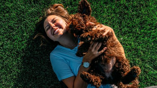 Bester Freund oder Ersatzkind?: Warum Hunde unser emotionales Backup sind