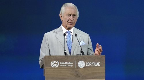 COP28 müsse „Gamechanger“ werden: König Charles III. und Guterres rufen bei Weltklimakonferenz zum Handeln auf
