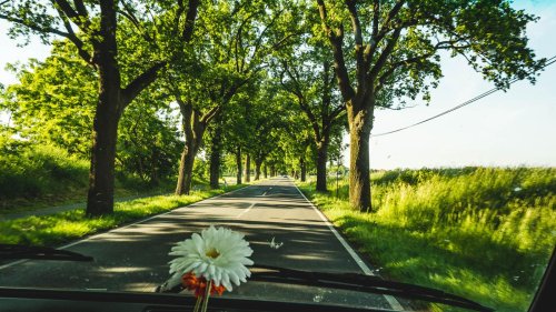Im Bulli nach Brandenburg: Mit dem Camper die Natur genießen