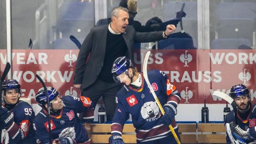 Deutsche Eishockey Liga: Eisbären-Coach Aubin: „Das war eindeutig nicht gut genug“